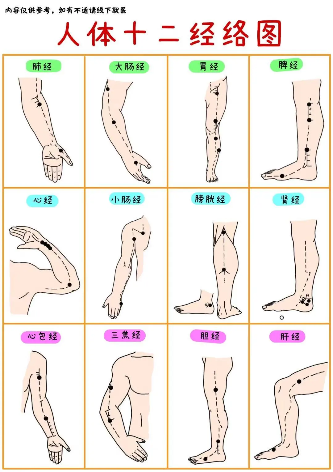 🔥中医经络｜人体十二经络图✅