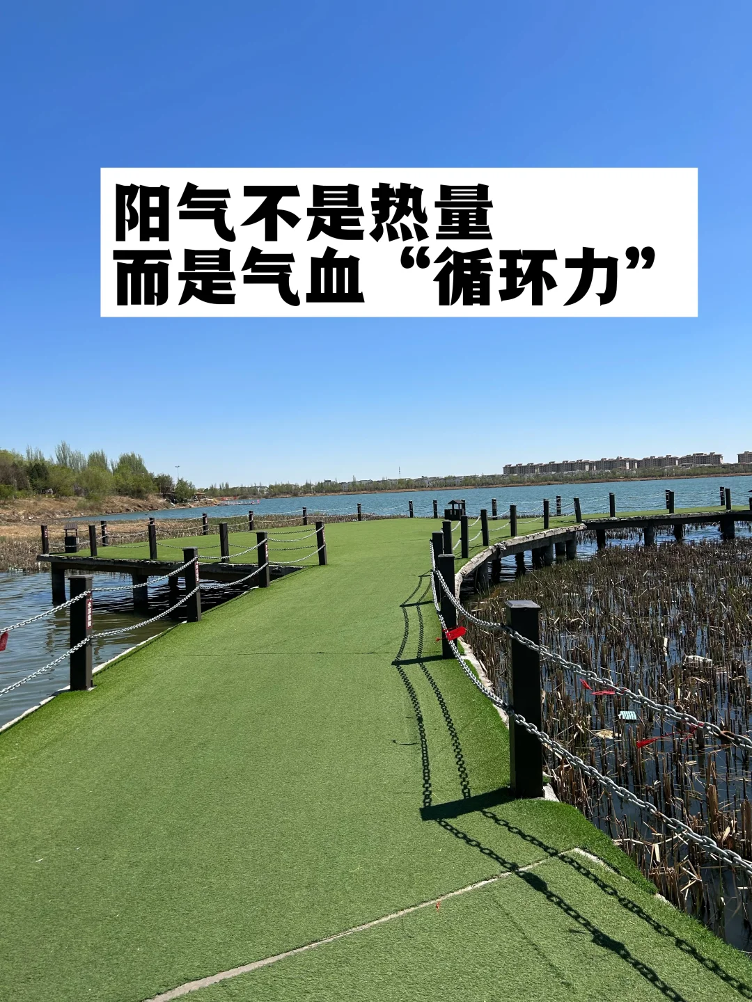 阳气不是热量，而是气血循环力！