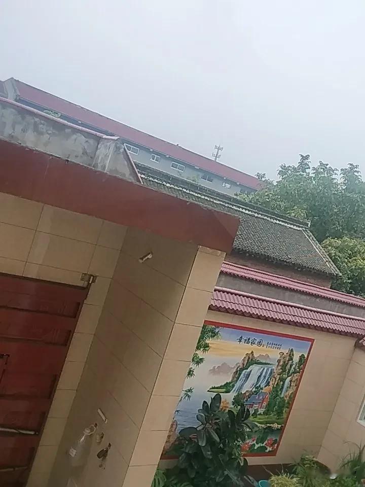 晒图笔记大赛 今天飘着毛毛细雨，出门没带伞索性慢悠悠晃了半小时，裤脚边沾了点湿意，风裹着路边栀子的湿香往脸上扑，连空气里的灰尘味都没了，整个人都软乎乎的。
翻手机刷到邓恩熙的新图，黑丝配着微湿的白衬衫站在雨幕边，发梢坠着小水珠，完全没有刻意凹的油腻感，反而像刚从青春片雨景里走出来的女主，氛围感直接拉