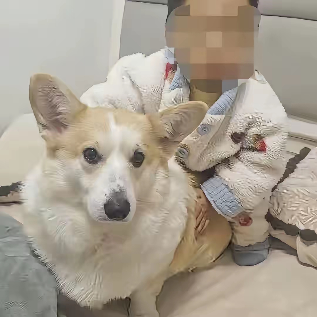 我怀疑过坠亡幼童的爸外面有人，
也怀疑过他跟妻子没感情了，
但万万没想到，这位爸爸本身就是一个极度自私凉薄的人。
​现在最让人寒心的，还不是孩子妈妈打他三巴掌之后，他扬言要报警了。
​而是他举报了妻子在社交平台发布的视频，用的理由是 “肖像权” 。
​孩子尸骨未寒，当妈的发视频是为孩子讨一个说法，当