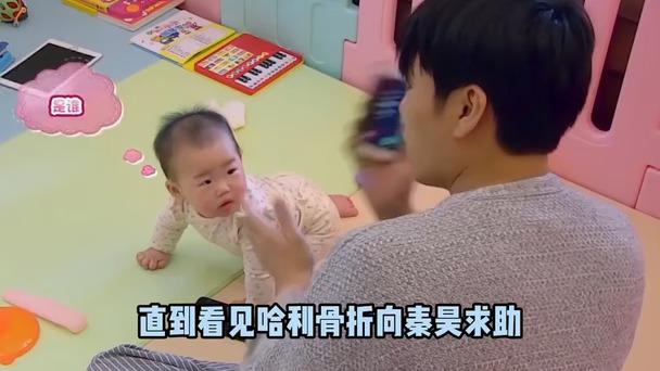 哈利骨折向秦昊求助，重组家庭孩子也能幸福