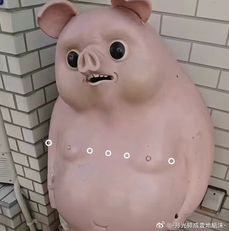 我绝望了我一直以为我们学孝的鸟语模拟孝是下周刚才才发现就是明天，我现在崩溃得就像一个连瞬间愣住力气都没了的科比，我可能是什么都不会 ​