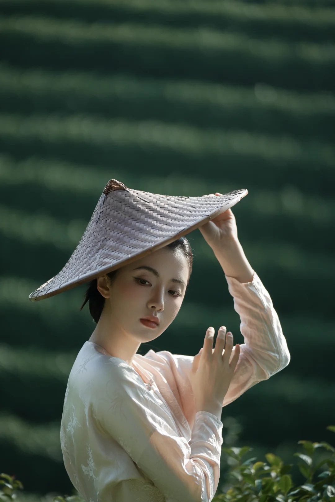 我见青山，槐序别憾