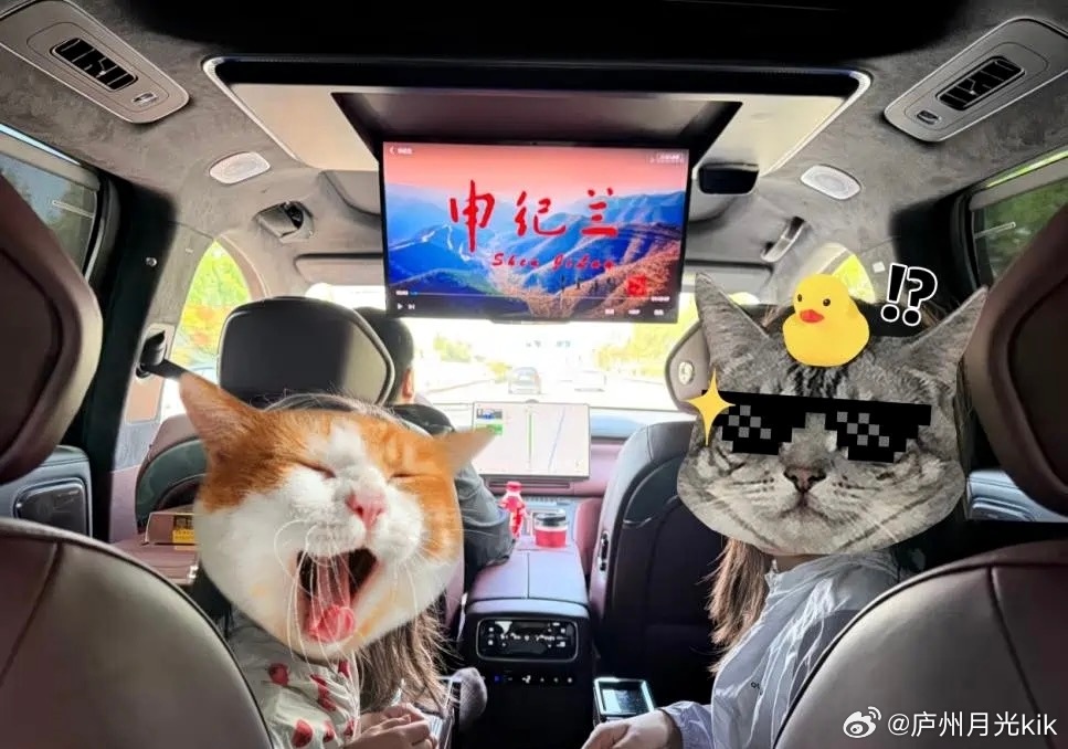家里三个娃，老大小学，老二幼儿园，老三刚会走。以前开五座车，早上送学跟打仗一样，谁先上车谁后上车都能吵一架，路上还得绕路挨个送，到单位已经累得不想说话。 
换了泰山之后，六座一人一个位置，上车各坐各的，不用抢。老大坐副驾驶排靠窗，书包放地上，自己玩车机大屏。老二老三坐第二排，老婆在 ​