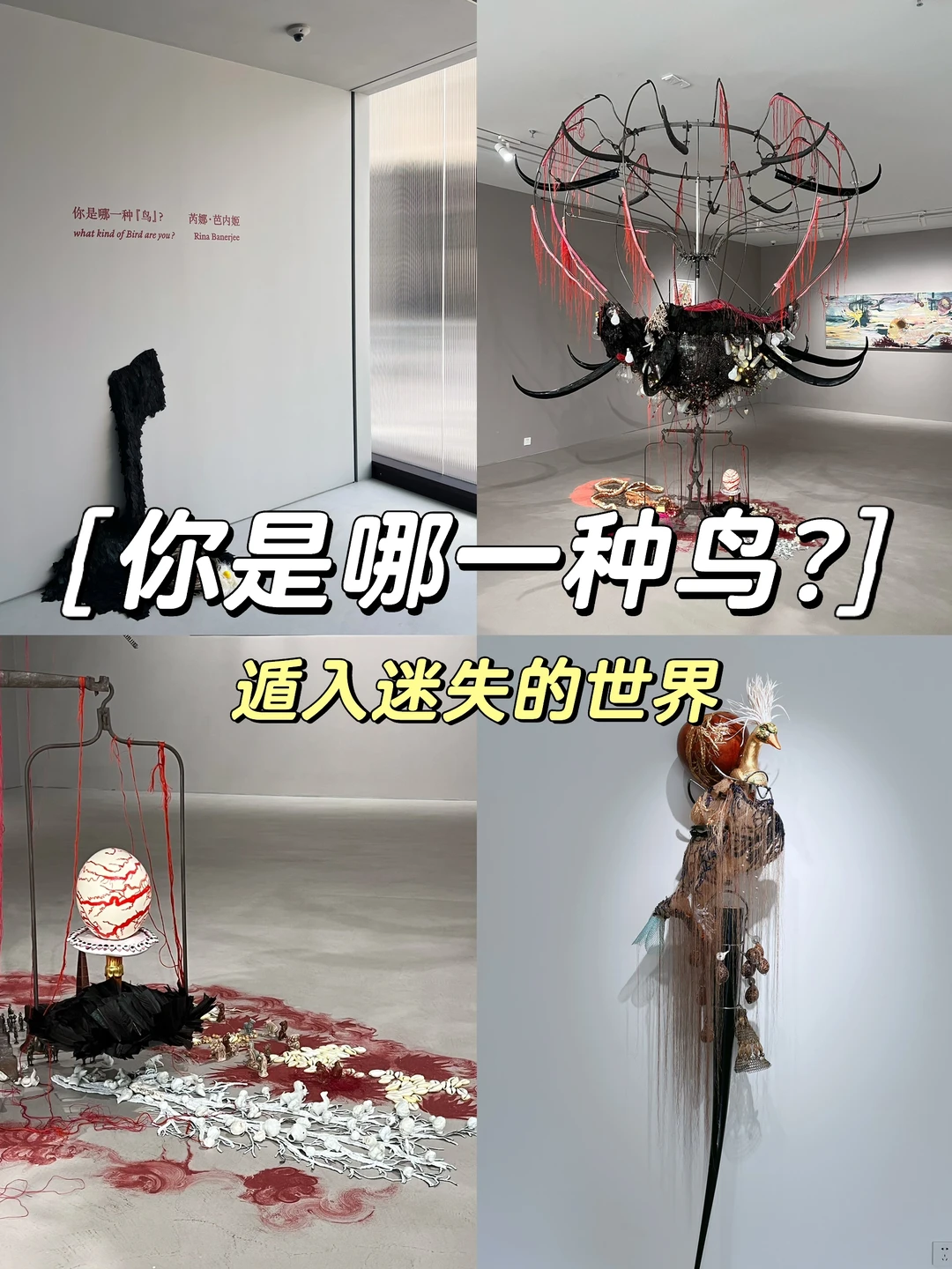 外滩🆓新展｜遁入奇异怪诞的新世界🕳️