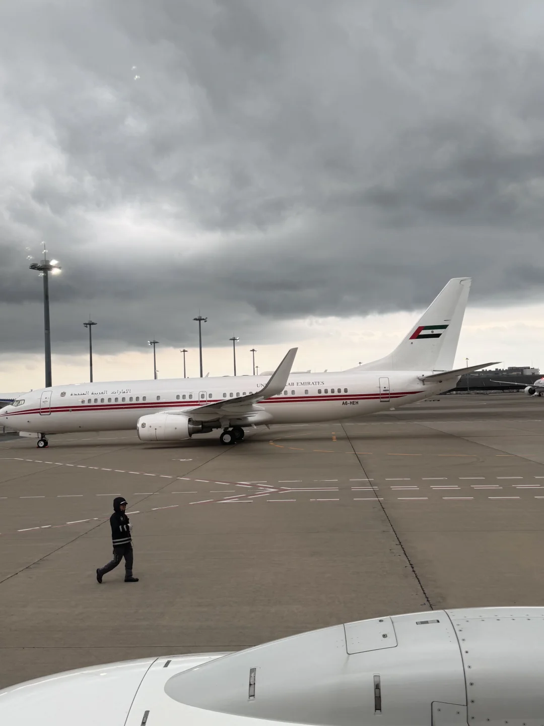 愿你的世界永远柔软而明亮。