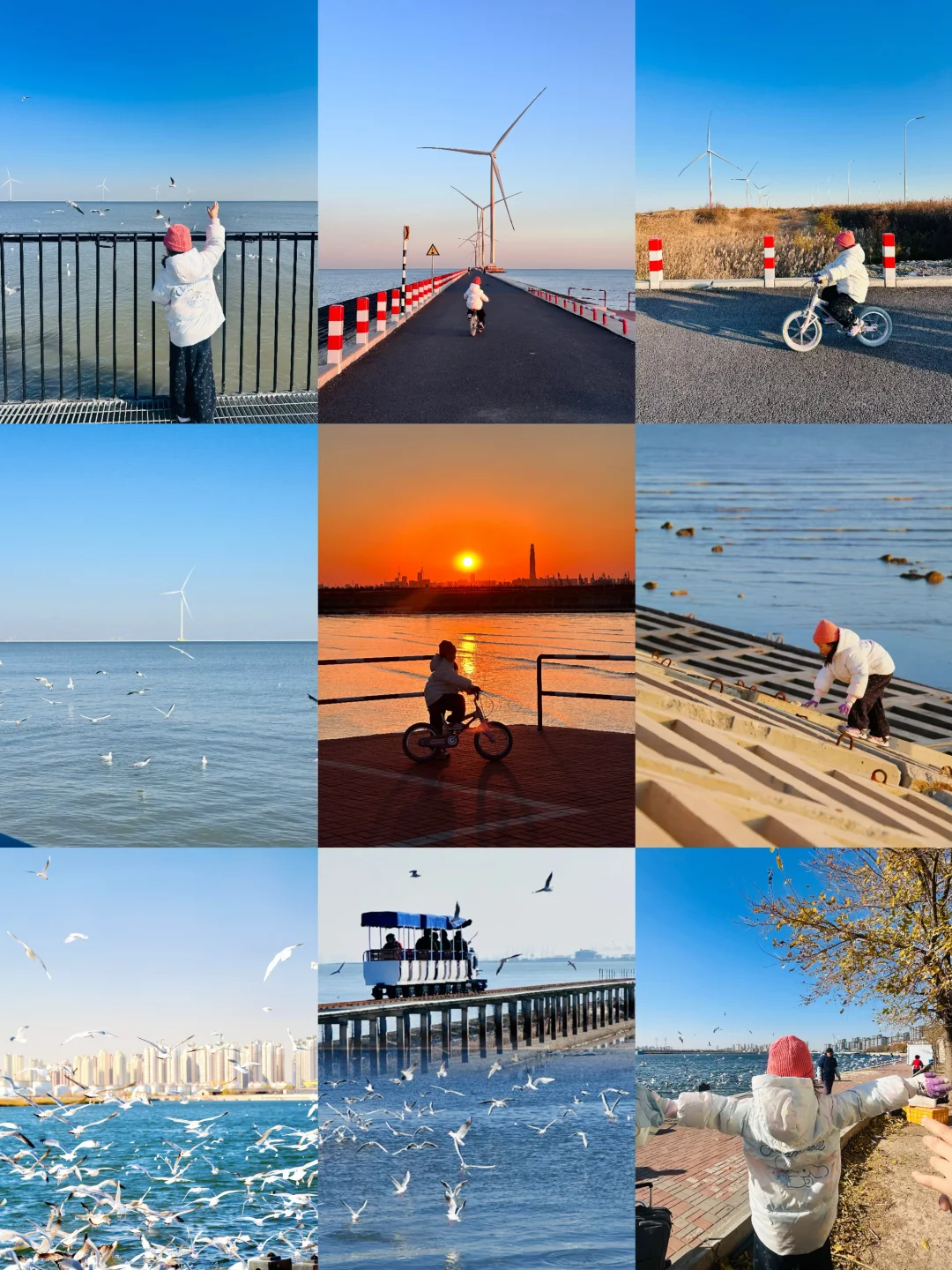 天津📍带娃喂海鸥＋海边大风车路详细路线