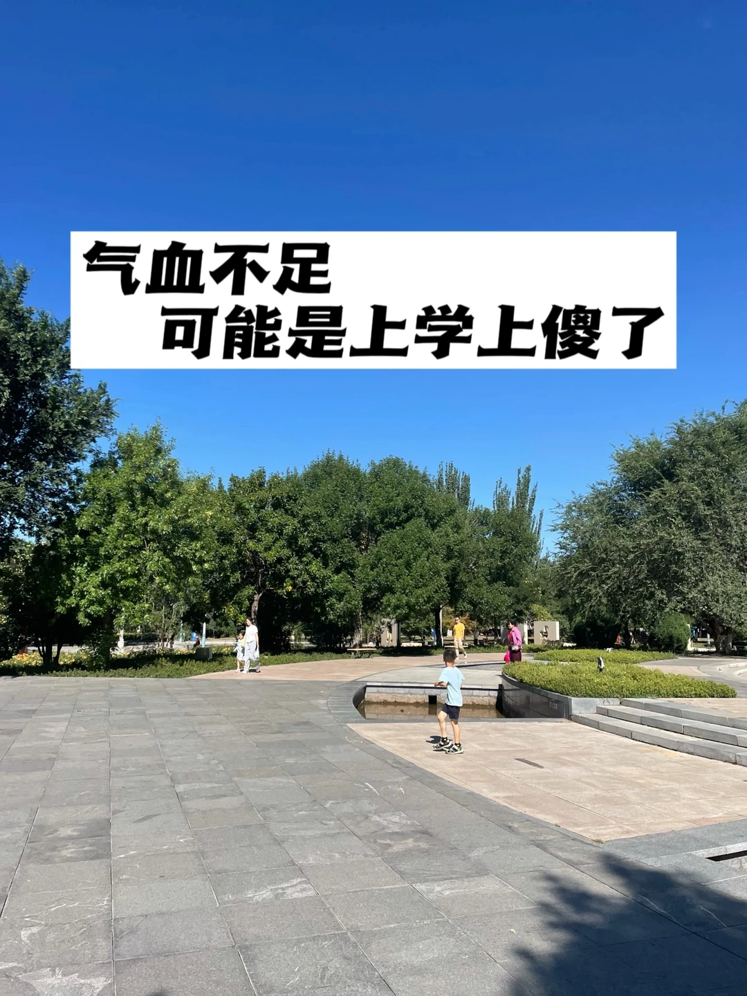 学历越高的人，越容易气血不足.