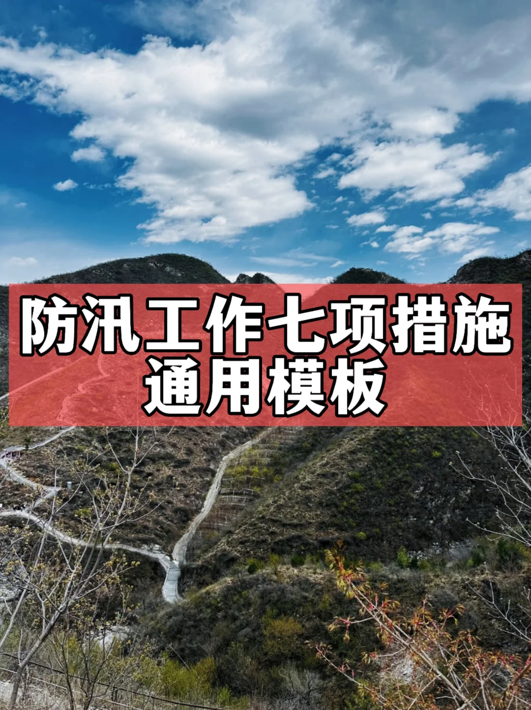 体制内：防汛工作七项措施通用模板