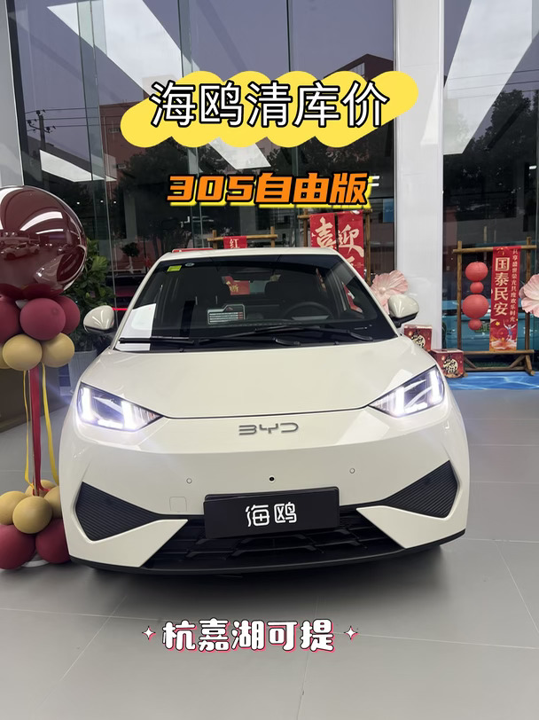 ✅ 捡漏！海鸥305自由版特价现车一台