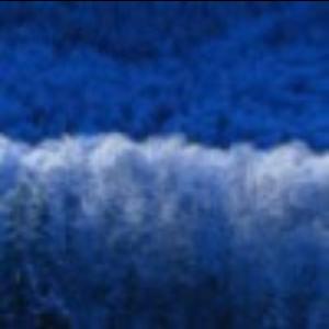 彧的初心永不变