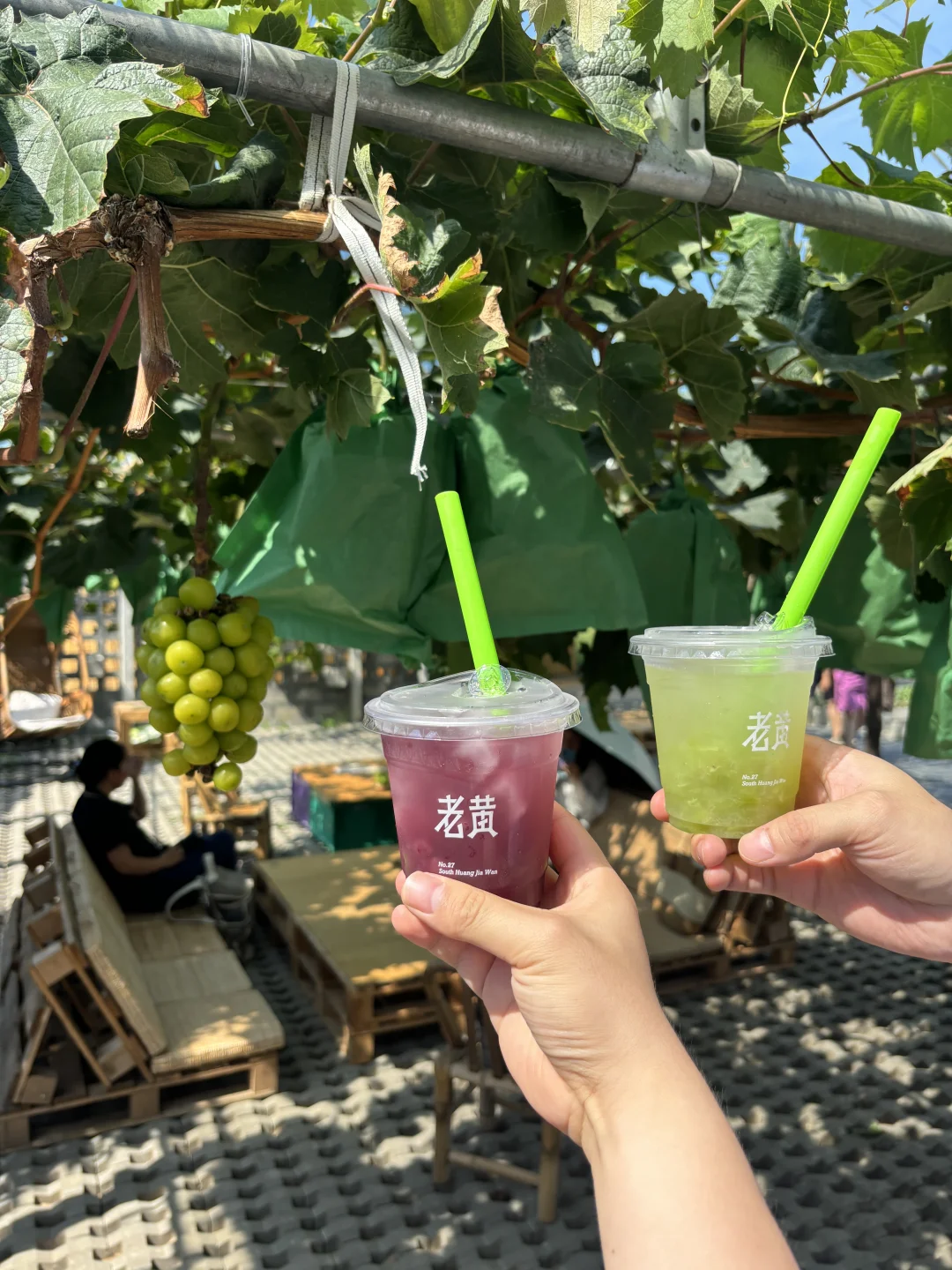 周末离沪计划（35/100）一秒穿越新疆的葡萄园