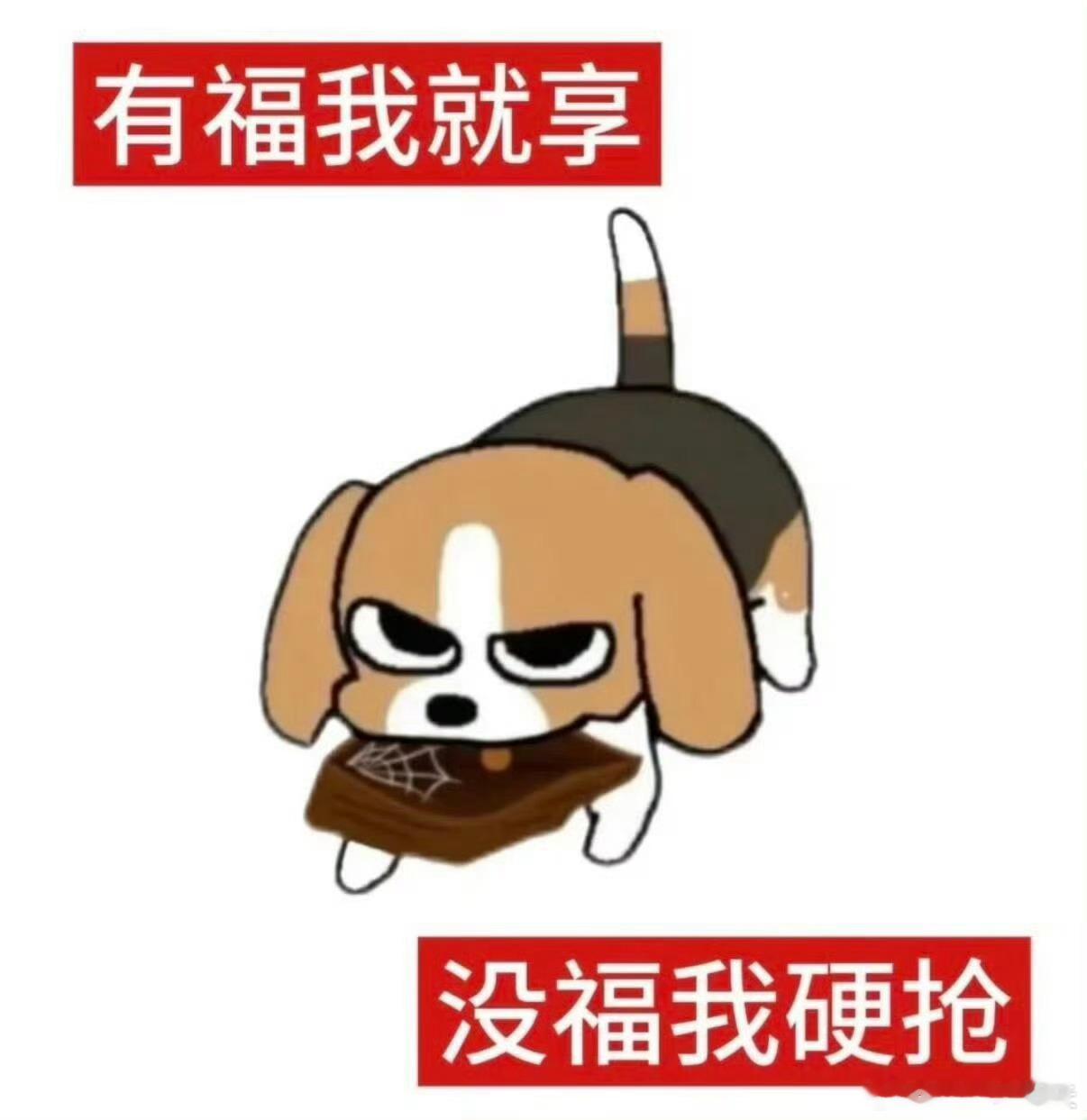 关于晋江作者大会。首先，你们花现在还是个扑街仔…其次，有没有可能我是番茄🍅作者？ ​​​
