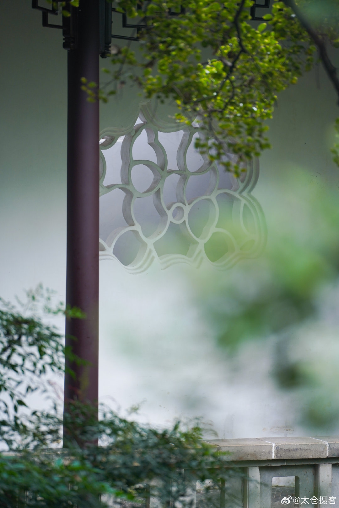 #摄影[超话]##我在苏州游园林##金秋游园正当时# 
“沧浪之水清兮，可以濯吾缨。”北宋苏舜钦筑亭归隐，以水为名；千年后，刘敦桢以建筑之眼，为粉墙花窗测绘留档。
 
若粉墙是素笺，漏窗便是诗眼。沧浪亭108扇漏窗，样式各异，无一雷同：冰裂、万字、海棠、石榴、桃形、扇形……把江南四季，一一镂空。
 
最妙在临水复廊。墙外葑溪水，墙内黄石山。漏窗一隔，隔而不断；一透，透而不露。风过，竹影在窗上写行书；日照，水光在窗下填小令。未入园，先得景；才移步，已换画。
 
漏窗不漏，漏的是山水，是光阴，是千年文人未竟的归隐梦。#跟着历史名人游苏州##美在苏州#