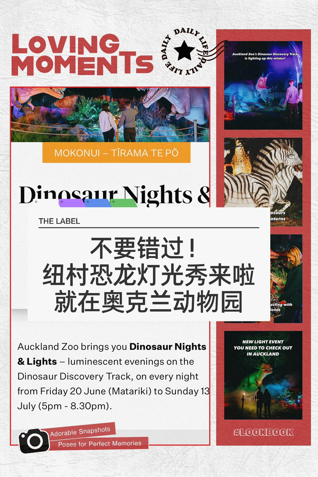 🇳🇿纽村遛娃！恐龙灯光秀来啦！