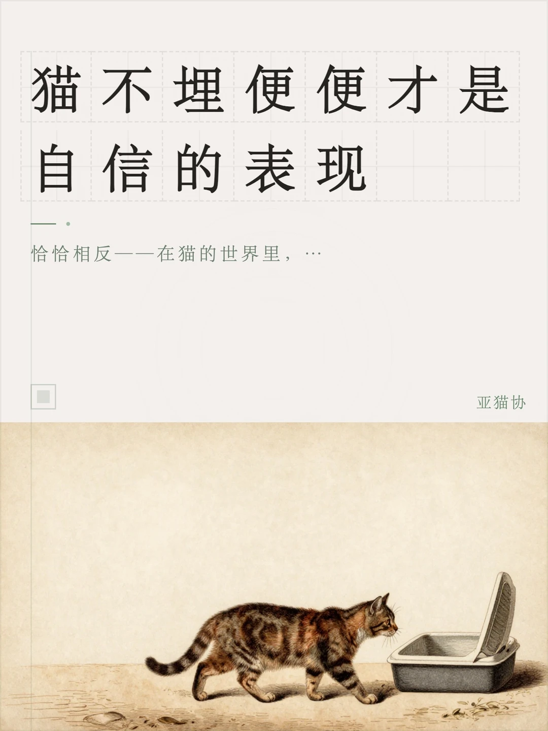 不埋屎的猫才是自信