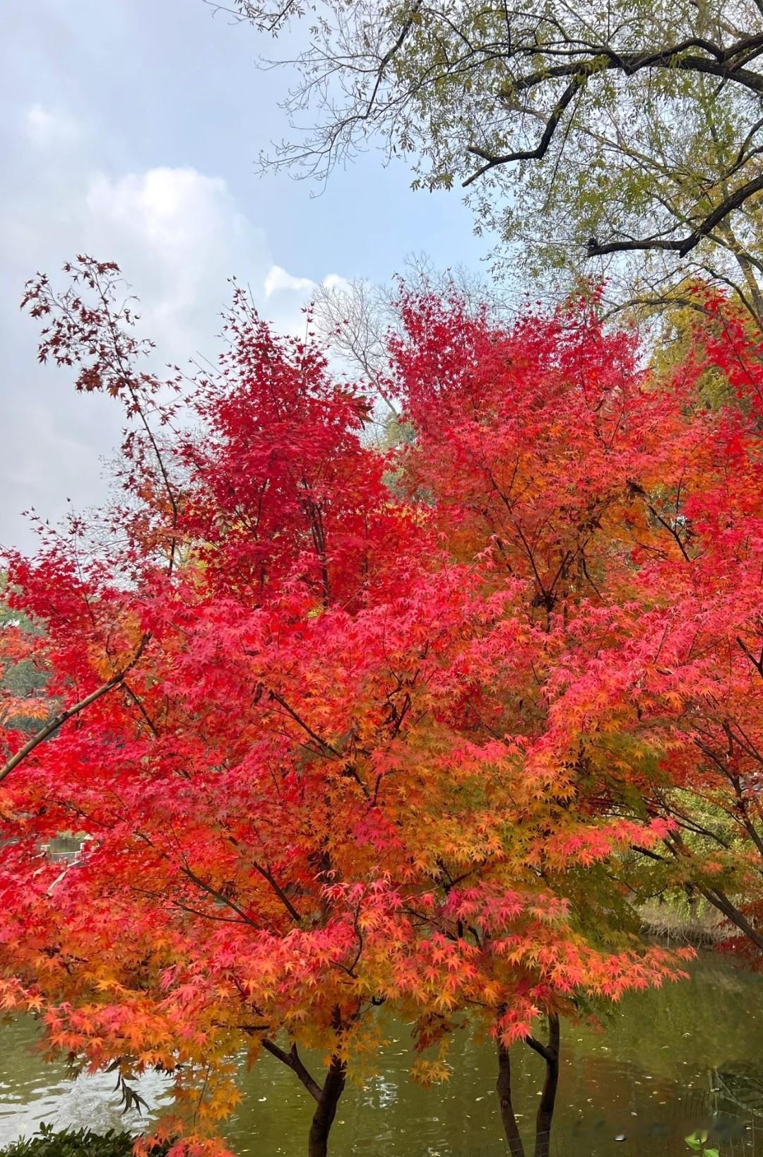 跟老公闲聊，我半开玩笑问他：“要是有个女人又漂亮又懂你，还对你掏心掏肺...
