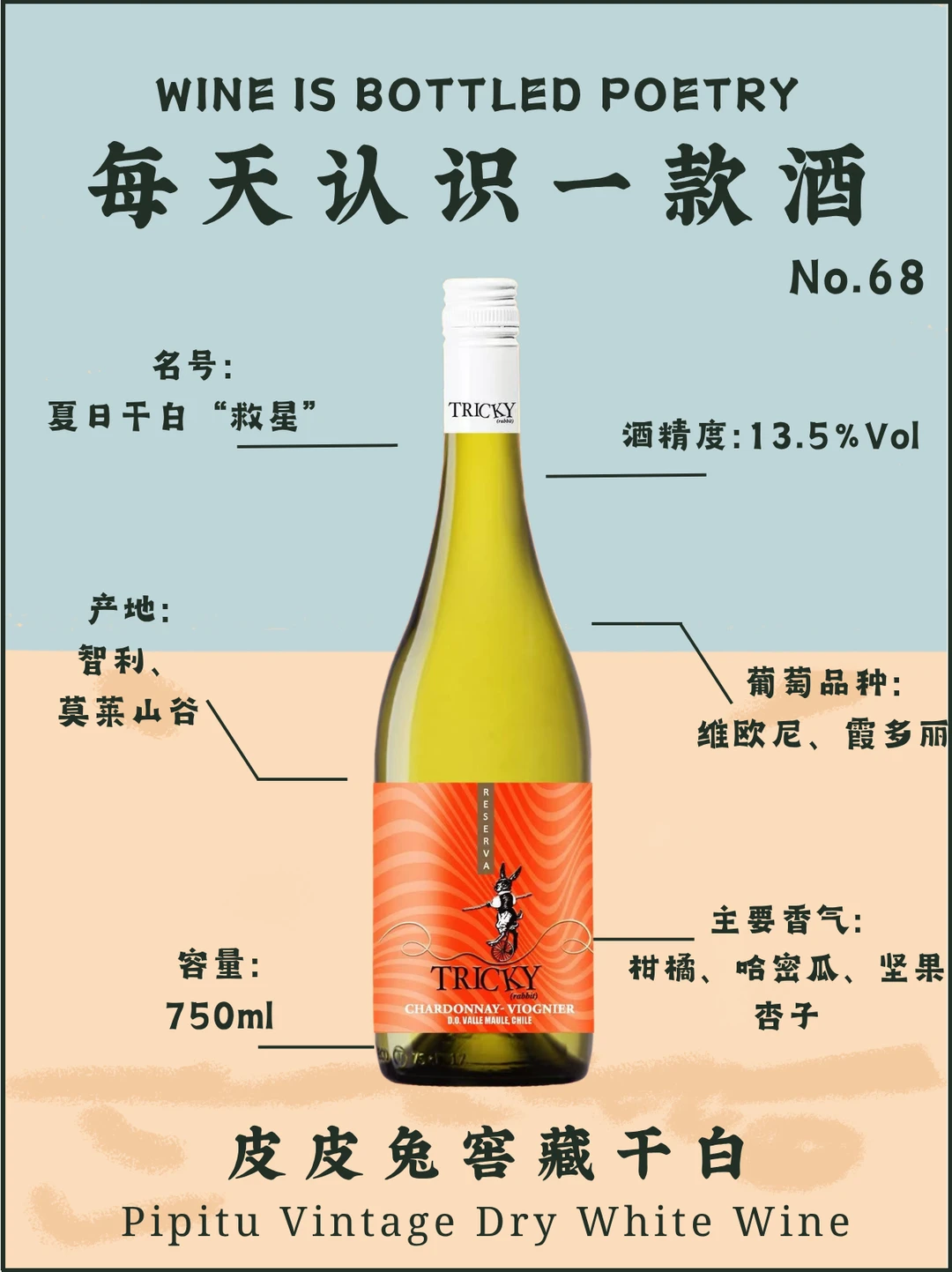 No.68每天认识一款酒｜皮皮兔窖藏千白