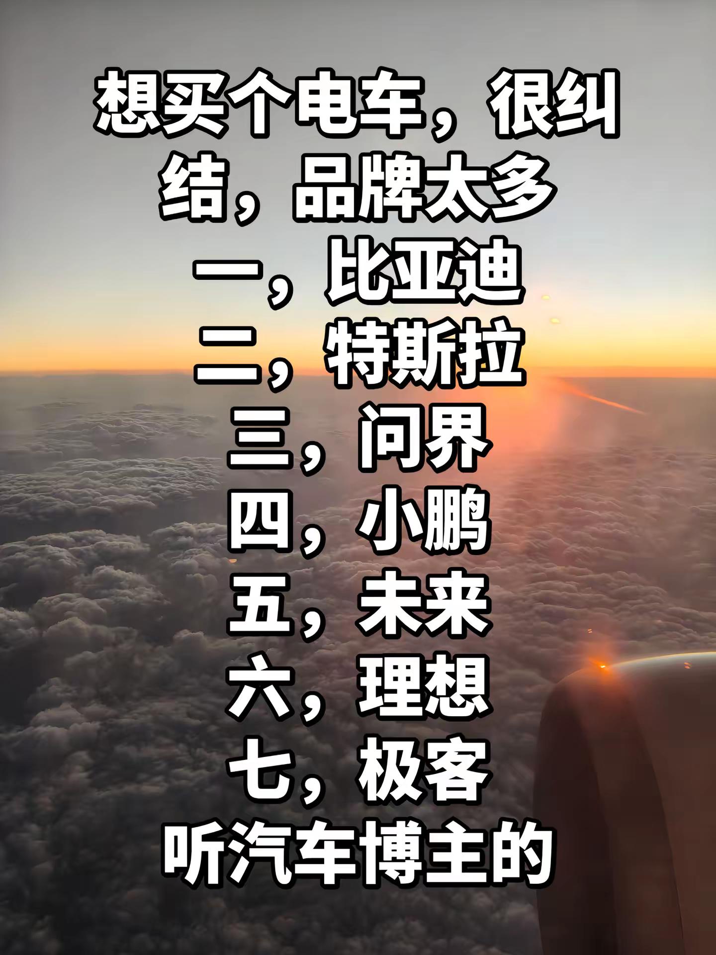 想买电车很纠结，品牌太多：比亚迪、特斯拉、问界…听博主建议再决定 🌅