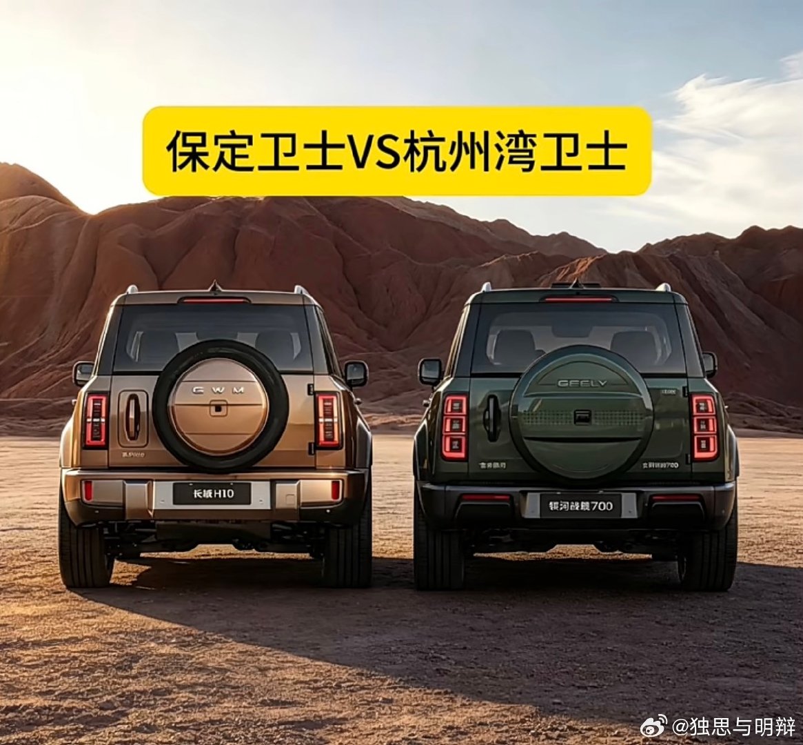 长城H10[嘻嘻]吉利银河战舰700 ​
