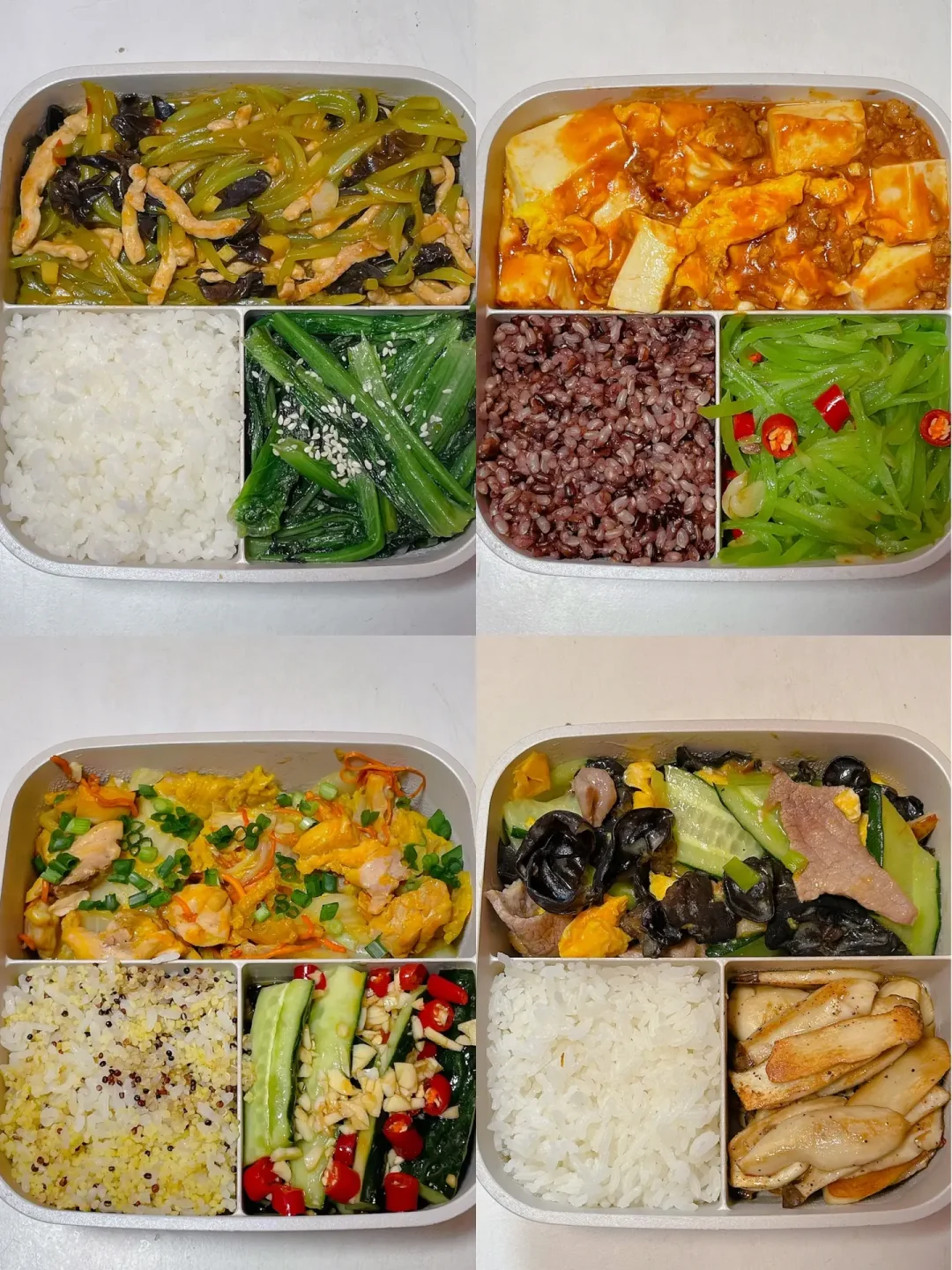 上班带饭不发愁🍱好好吃饭也能瘦