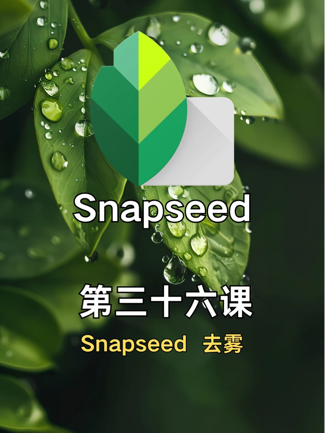 手机修图调色｜Snapseed 第三十六课 去雾