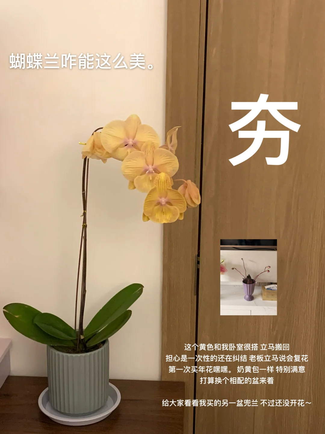 速来分享，2月万分满意的生活好物