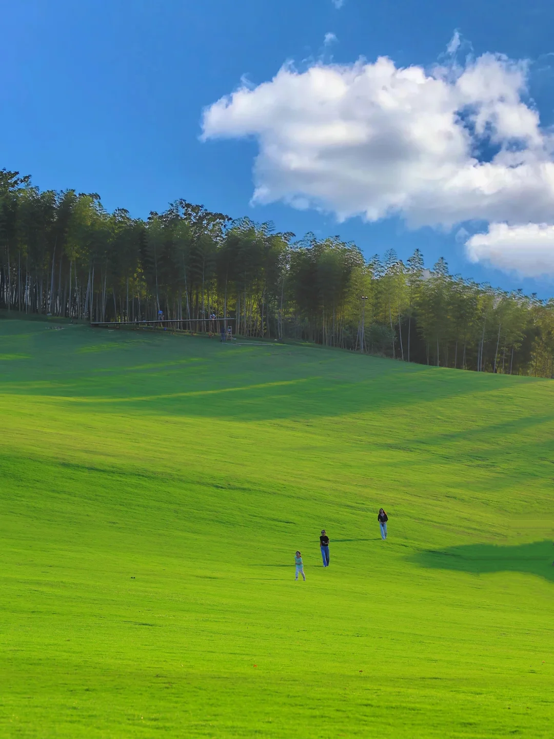 朋友圈问爆了❗找到了南京版阿勒泰大草原！