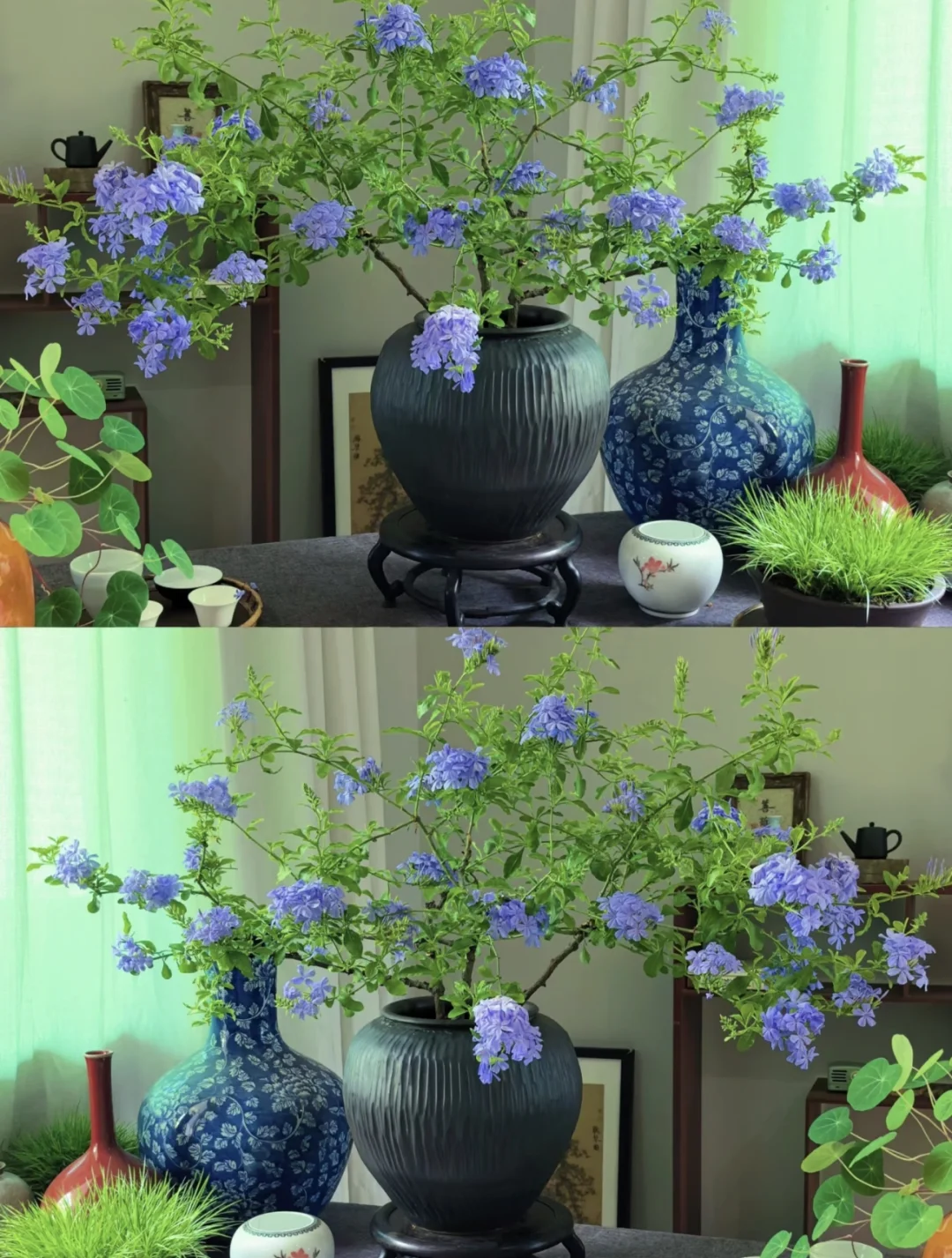 “没有一朵花，从一开始就是花”