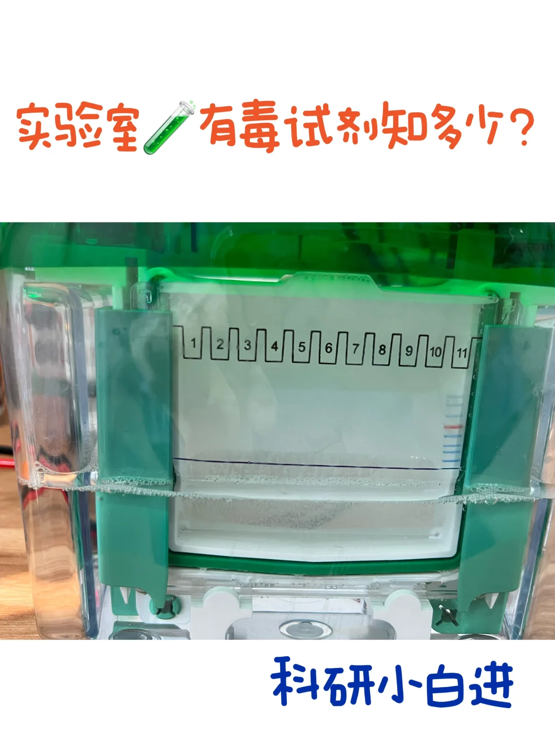 实验室🧪有毒试剂知多少？｜安全篇