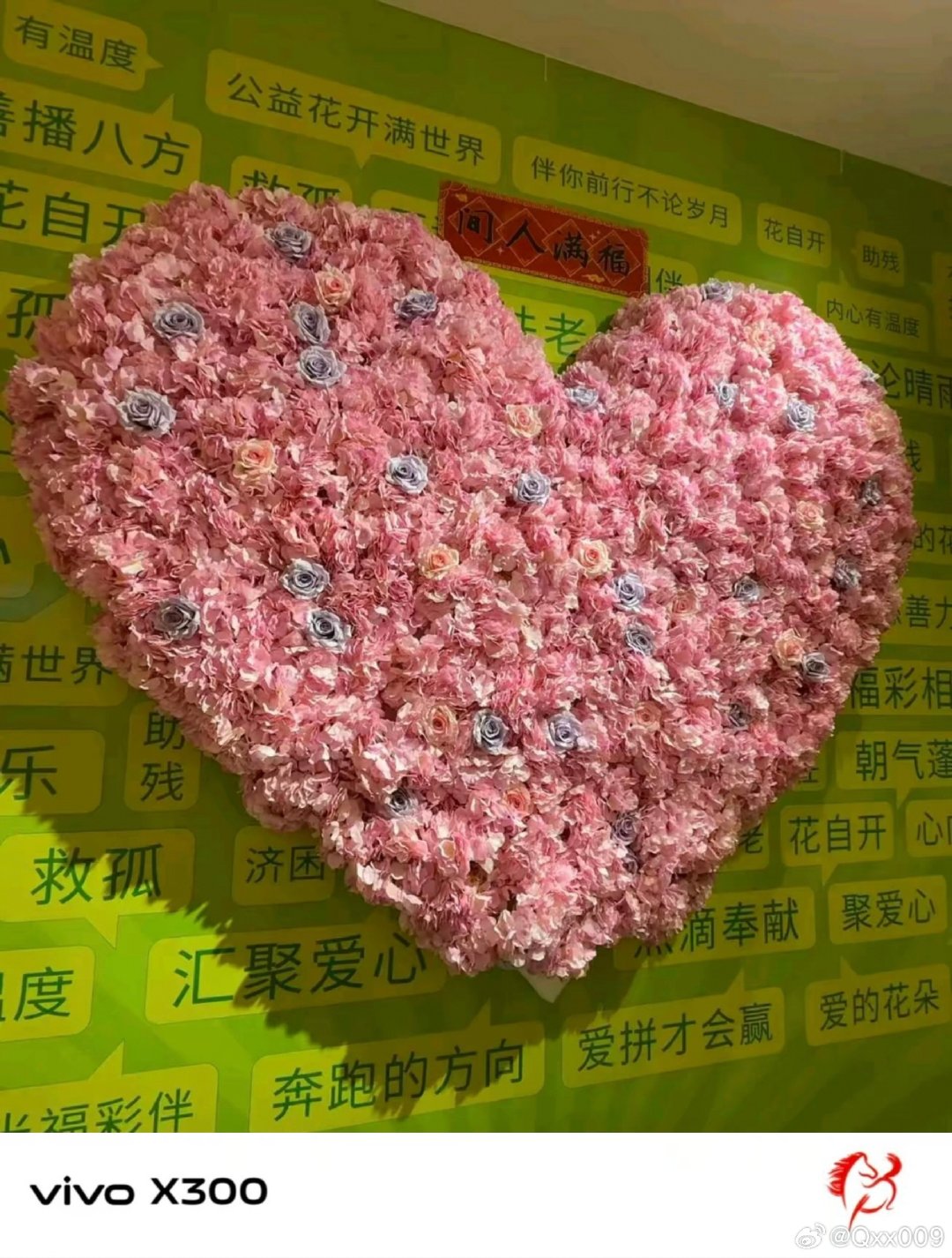 #vivo[超话]##vivo超话# 一整面爱心造型的花墙看着特别治愈，满满一簇簇花朵堆在一起，站在这里，心里都跟着变得软软暖暖的。 ​