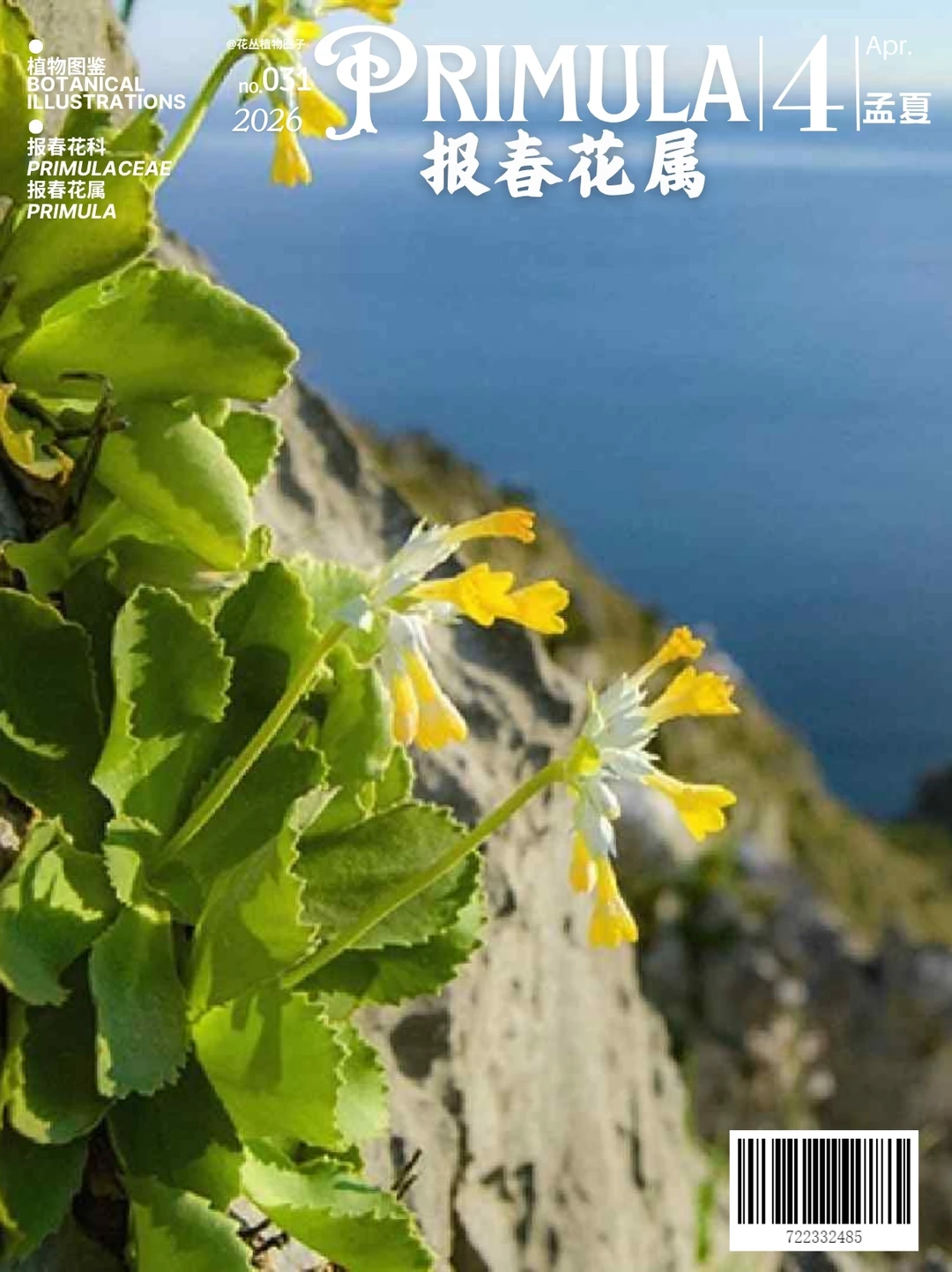 报春花属Primula上卷