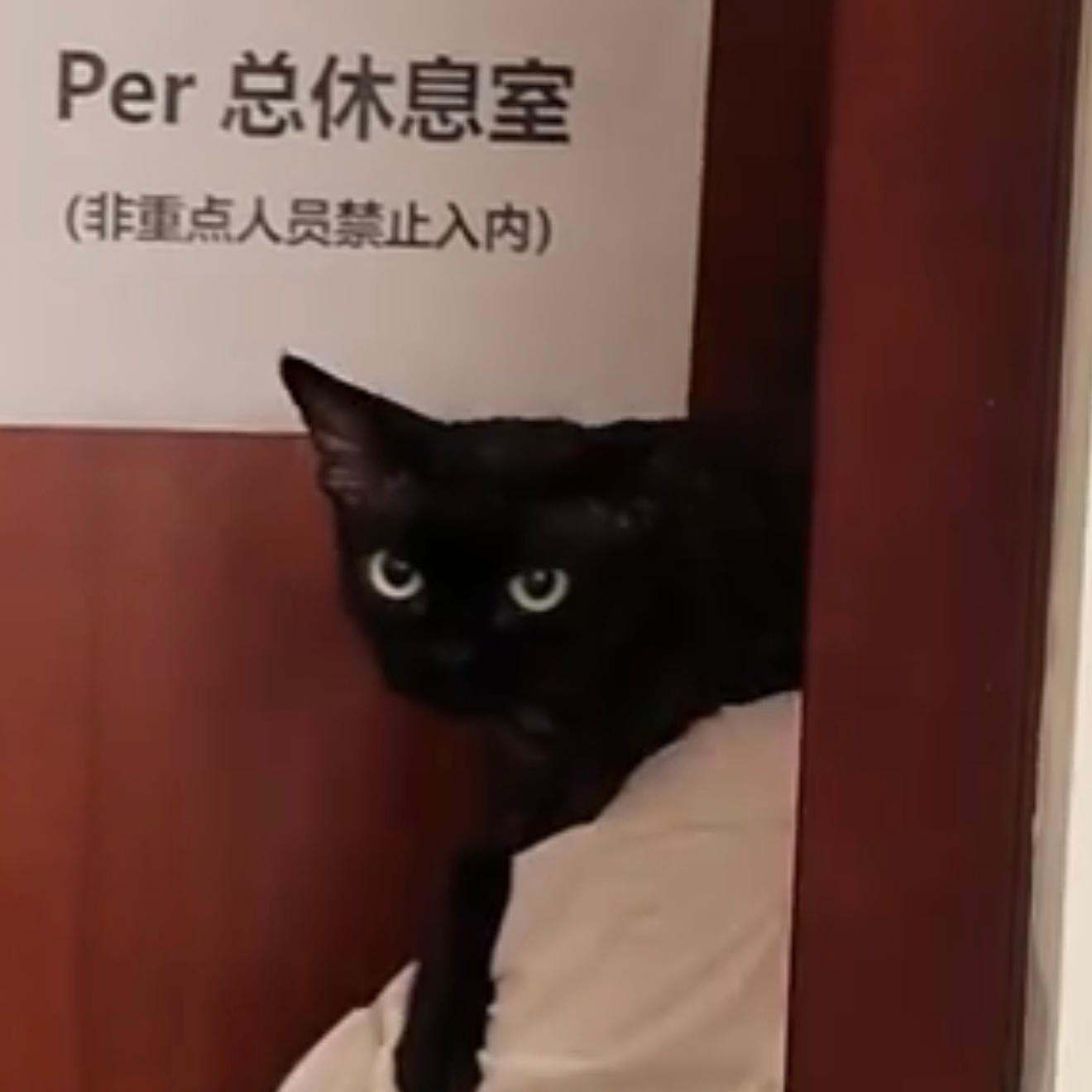 #华晨宇重点品牌联合创始人# 地表最强梨形身材 ​