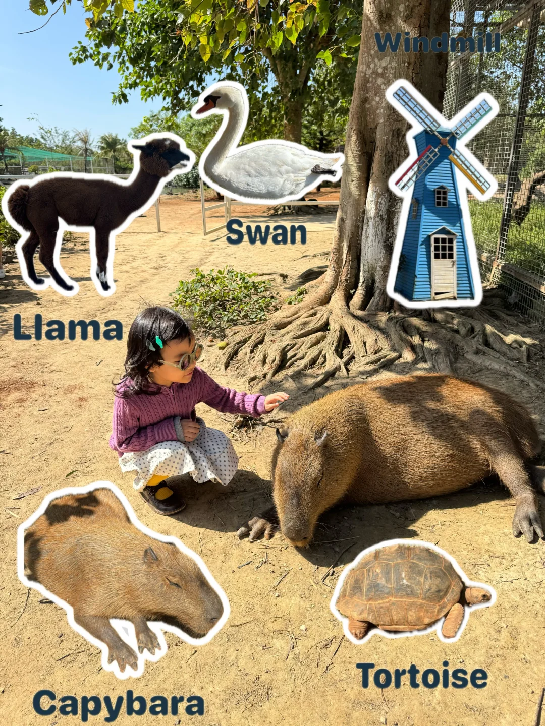 这大概是海口最快乐的地方！