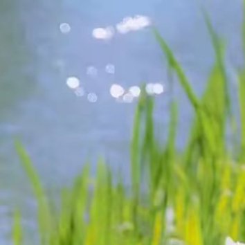 #阳光信用[超话]# 🌞#阳光信用# 🌞#每日一善# 

富强、民主、文明、和谐是社会主义核心价值观国家层面的价值目标。 自由、平等、公正、法治是社会主义核心价值观社会层面的价值取向。 爱国、敬业、诚信、友善是社会主义核心价值观个人层面的价值准则。有人在奔跑，有人在睡觉，有人在感恩，有人在 ​