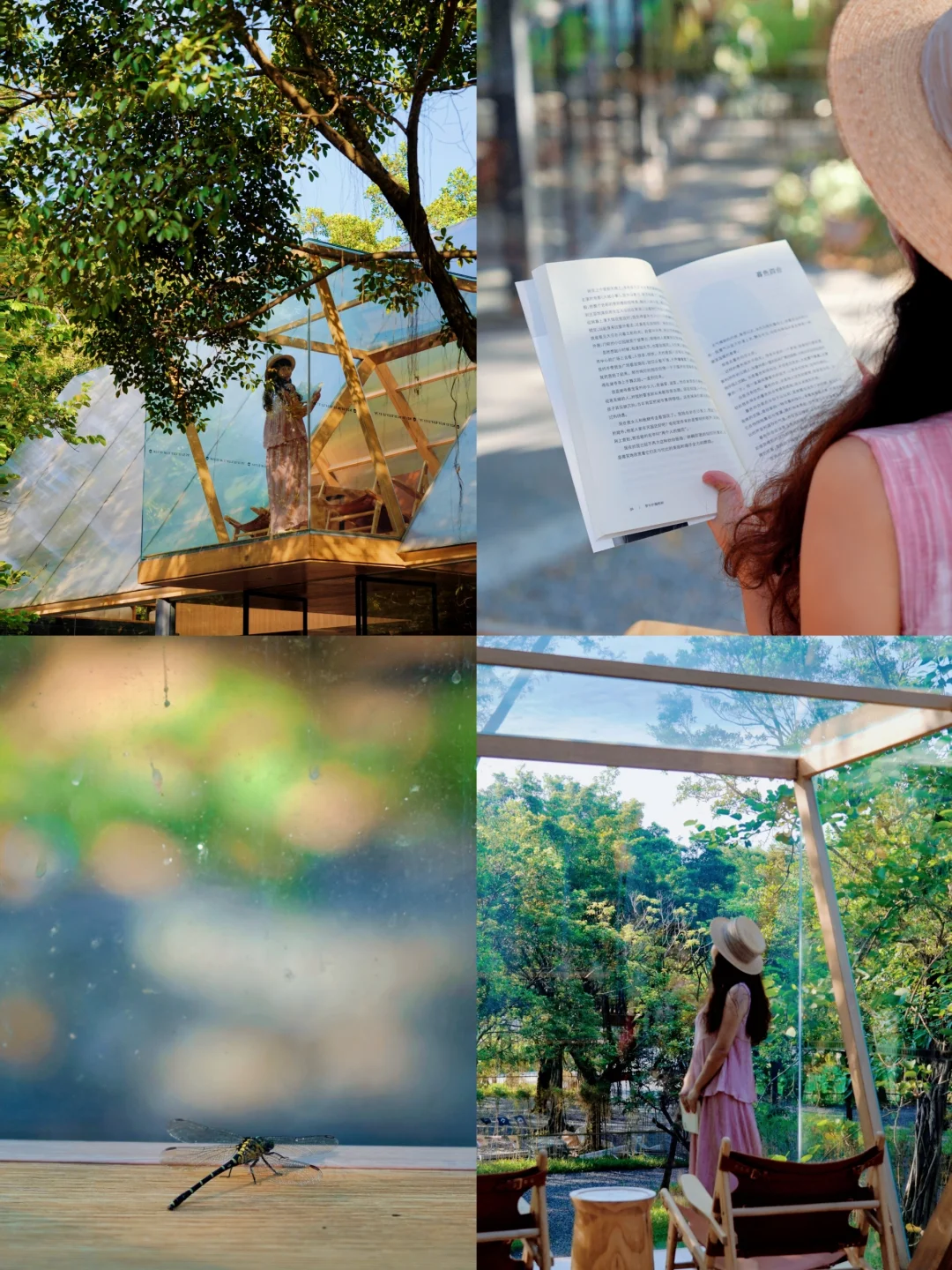 广州避暑🦋 蝴蝶溪谷里的童话小屋