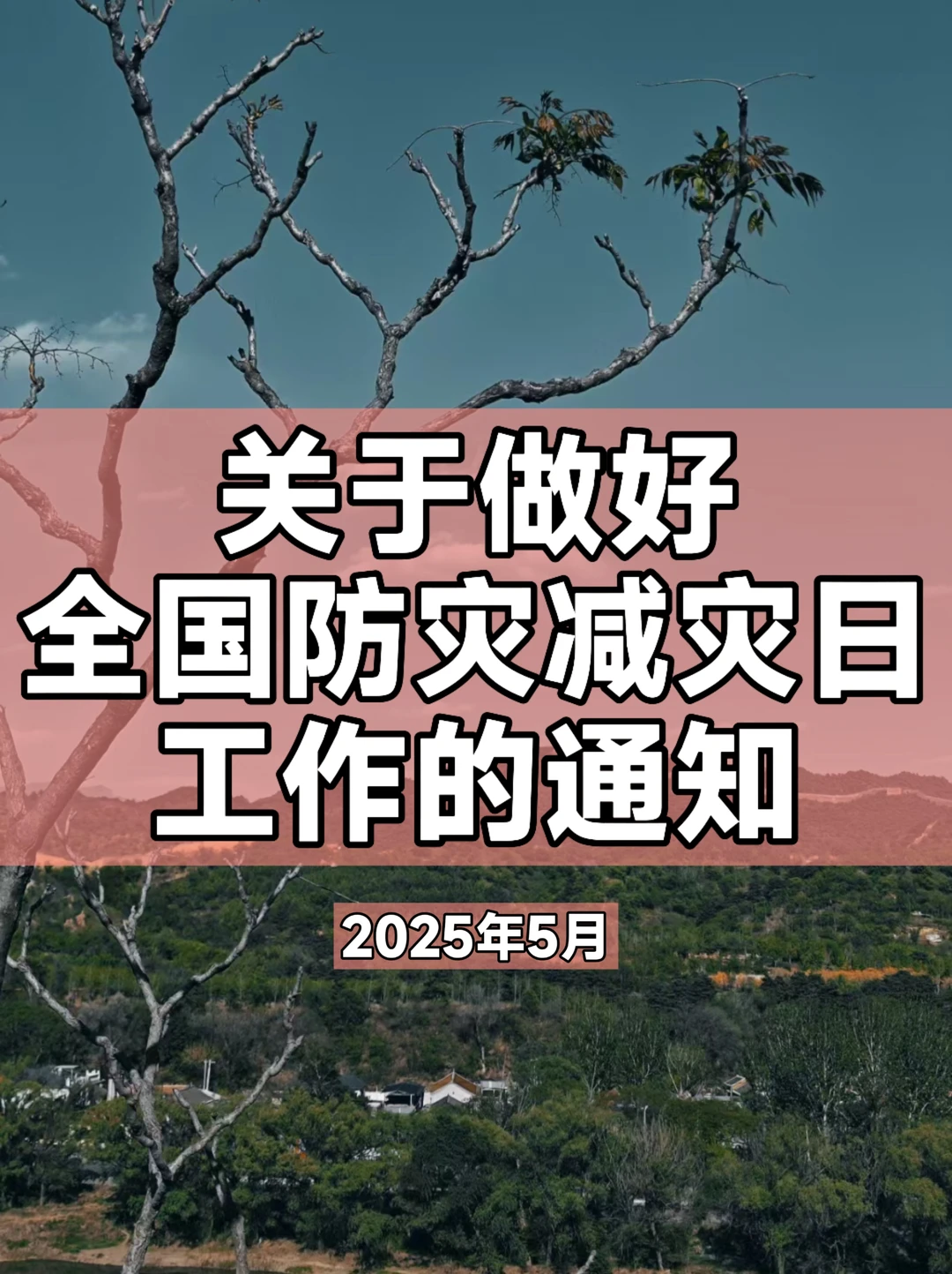 体制内：关于做好全国防灾减灾日工作的通知