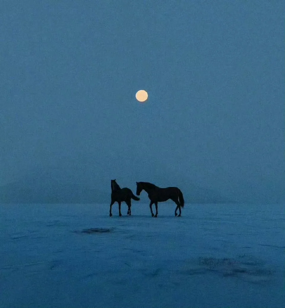 结婚和不结婚的人生到底有什么区别