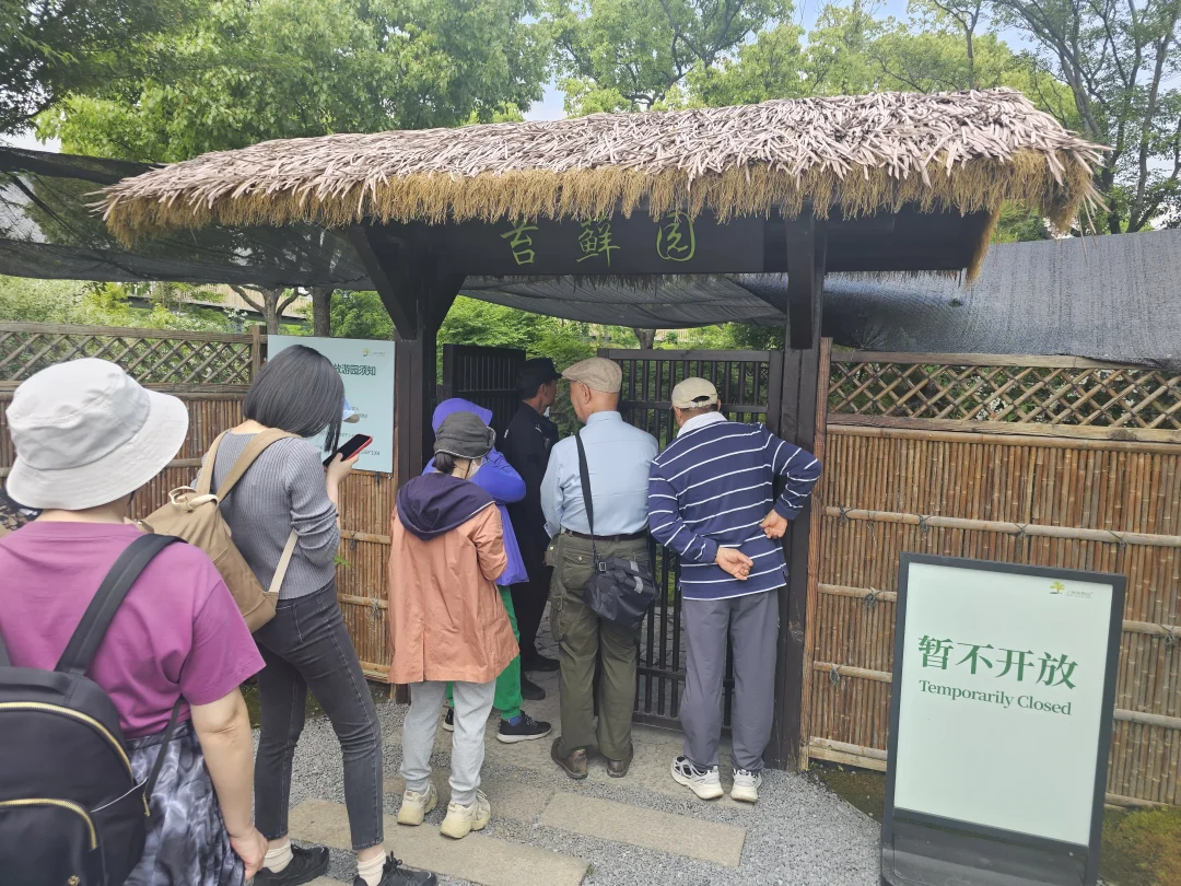 上海植物园苔藓园，排队人真多啊