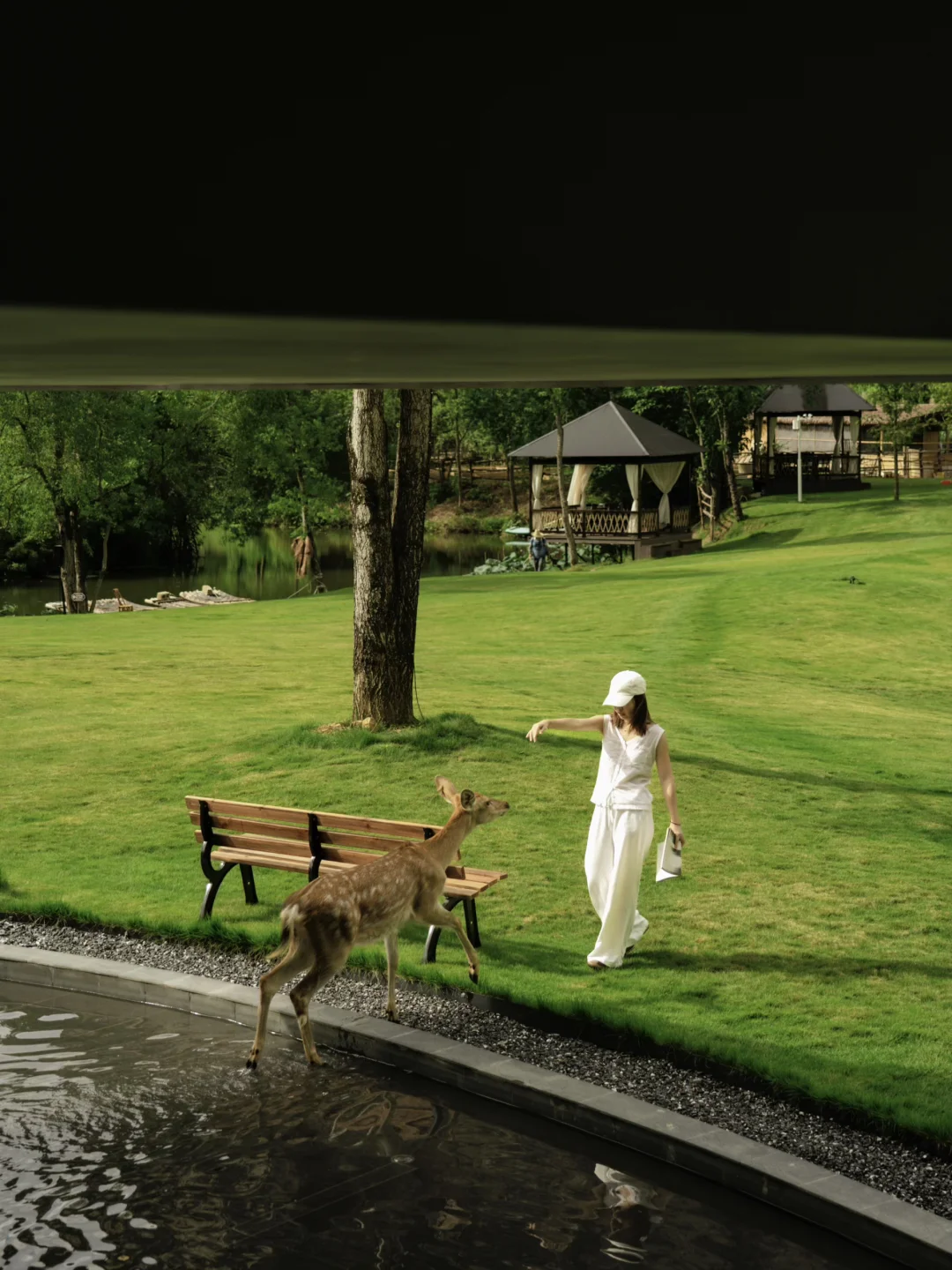 谁懂啊😭在阳朔被小鹿追着要贴贴～