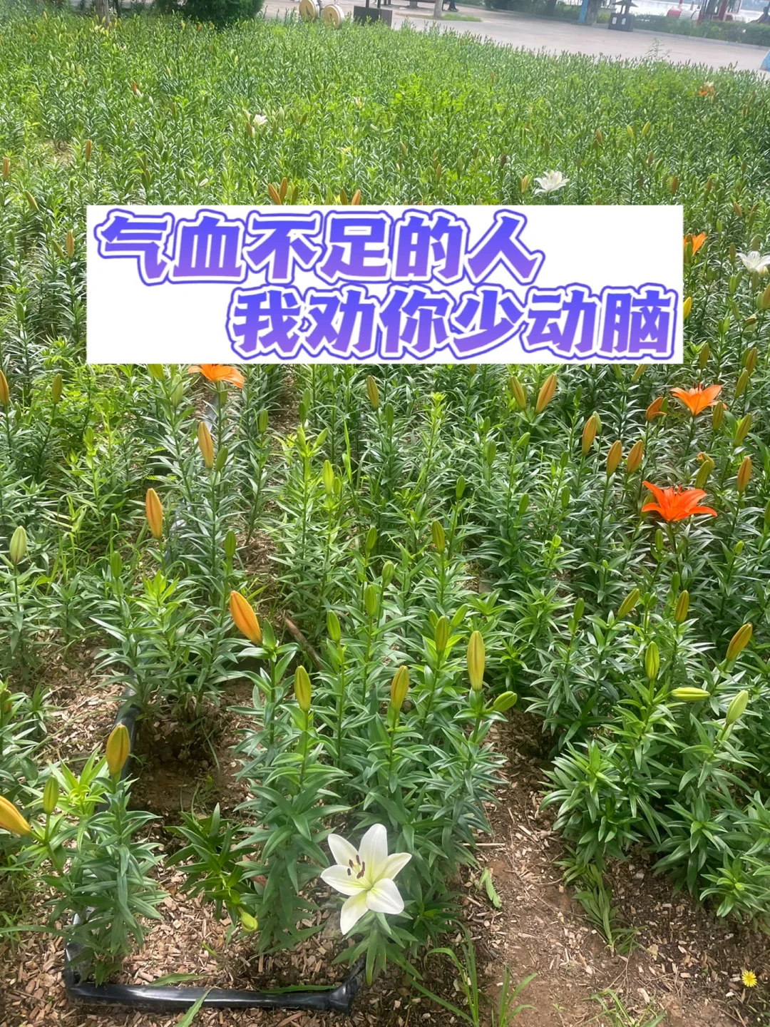 气血不足的人，我劝你少动脑.