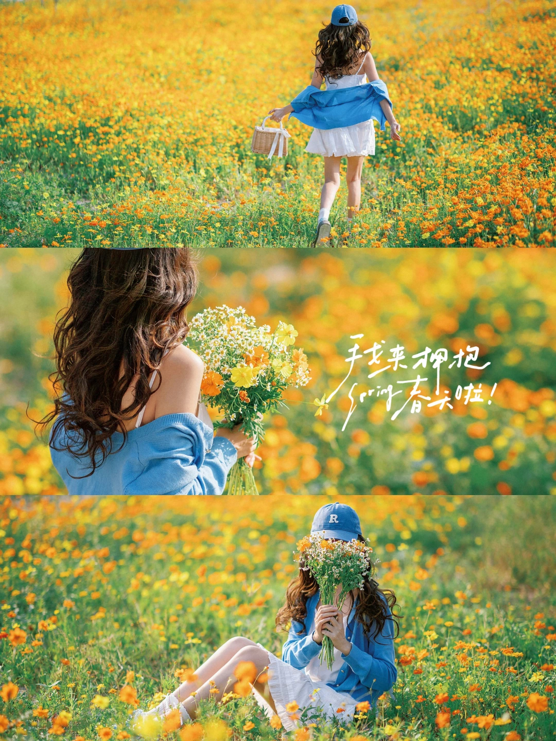 春天公园花海氛围感拍照|附滤镜调色教程
