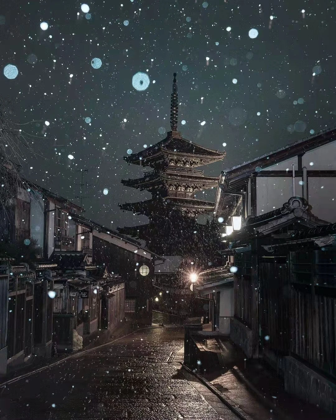 日本京都｜巍峨的八重塔让你想到了什么