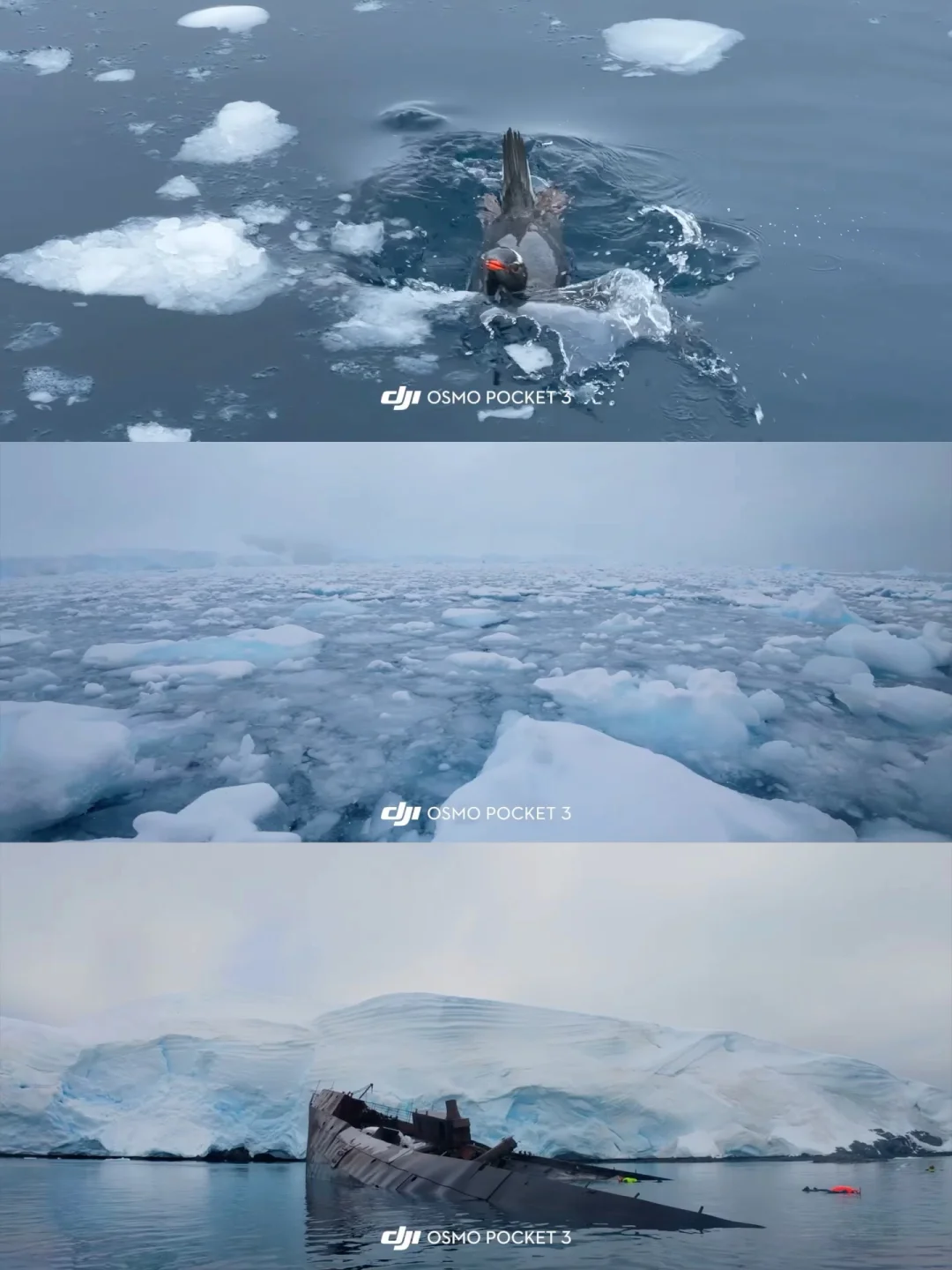 大疆Pocket3拍下的南极！真实无滤镜版