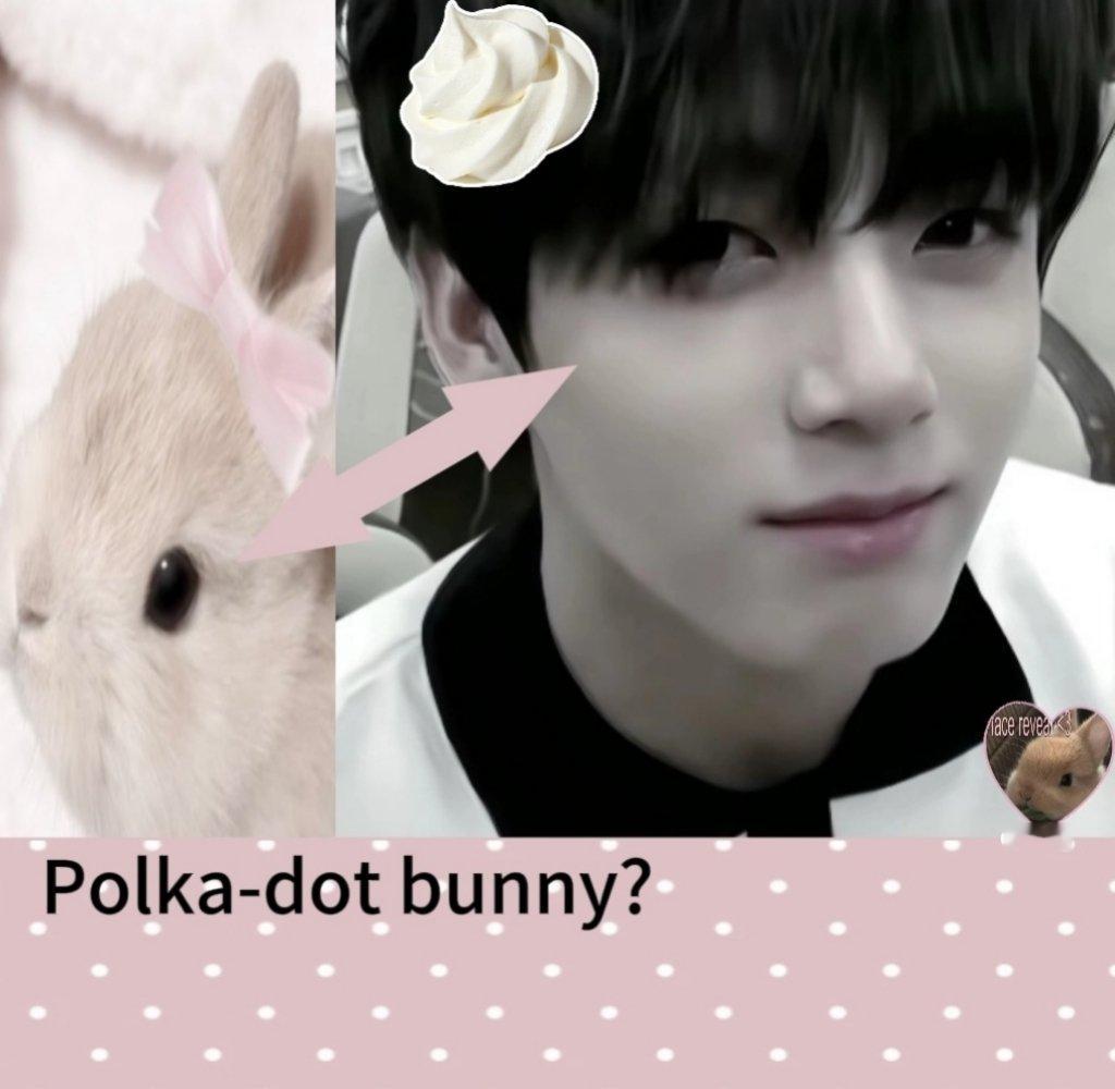 Polka-dot bunny? ​