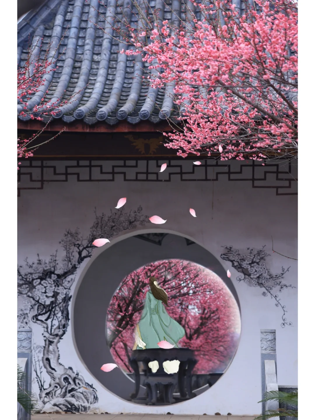 武汉小众赏梅秘境/90%都不知道的古风拍照地