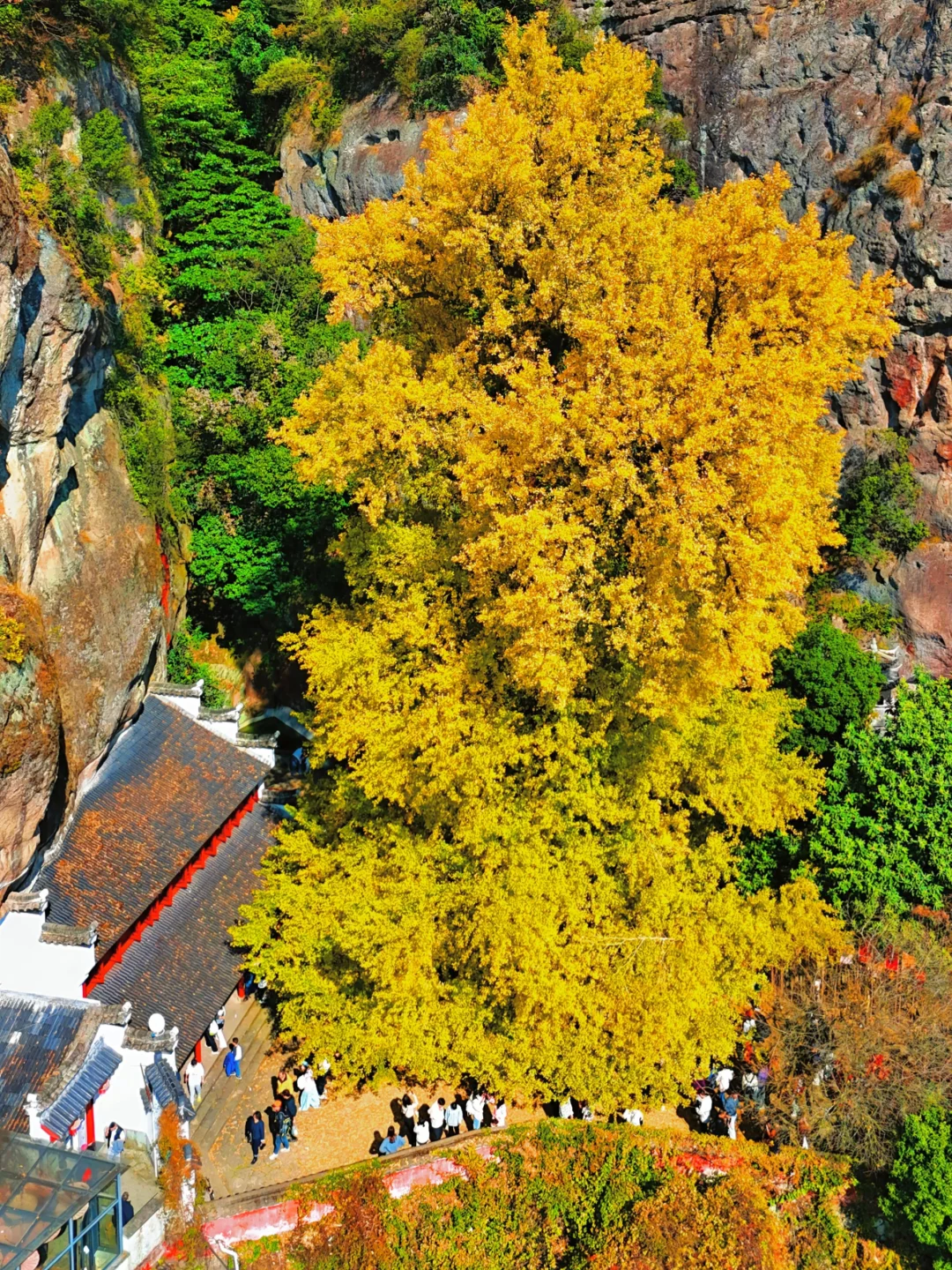 杭州周边2h逃离计划｜大慈岩+严州古城