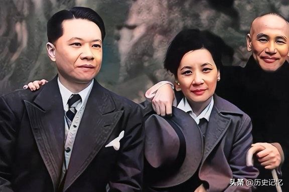 宋子安一生专注于金融专业与家族和睦，在家族政治立场严重分裂的背景下，扮演了一个独