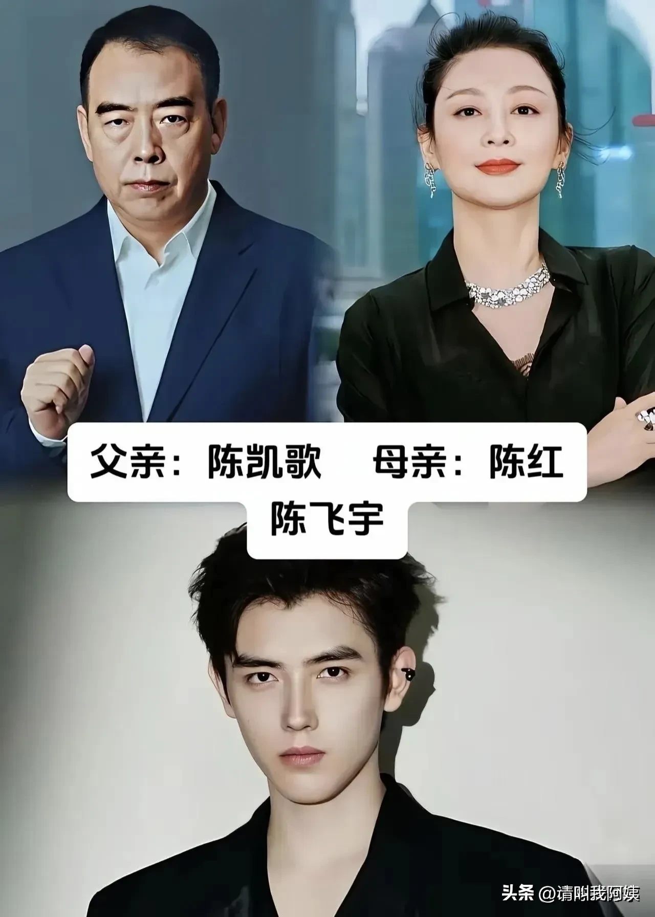 曾慕梅、陈飞宇这两个名字，常被放进“星二代条件好”的讨论里。一个是曾剑和梅婷的女儿，一个是陈凯歌和陈红的儿子。确实，不少星二代继承了父母的好长相，也更容易接触圈内资源。可这并不等于路就平。父母越有名，外界越爱对照：像不像，行不行，能不能超过。真进了娱乐圈，要求常常比普通新人更硬。资源能帮一阵，帮不了