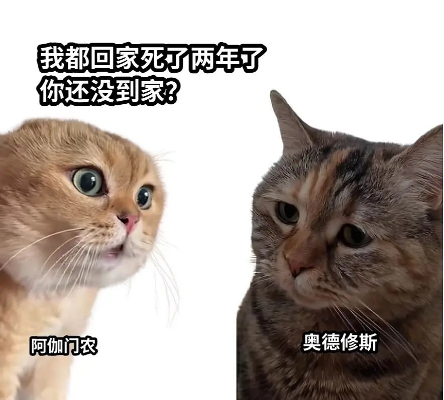 《奥德赛》meme一则[咖啡][咖啡]

#奥德赛# ​